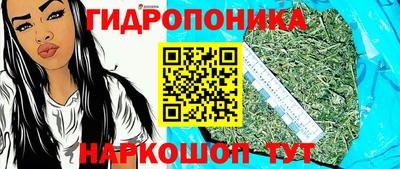 сатива Волгодонск