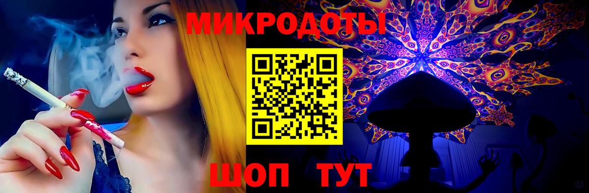Галлюциногенные грибы Psilocybe Валуйки